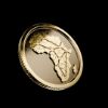 Picture of NdeipiCoin Collectable NFC Coin